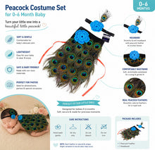 Load image into Gallery viewer, Babymoon Peacock Krishna Feathers Newborn Photography Outfit Costume