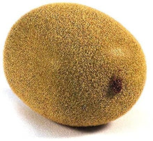 Load image into Gallery viewer, Babymoon Plastic Artificial Mix Fruits | Decorative Add-ons | Photography Props | Set of 10