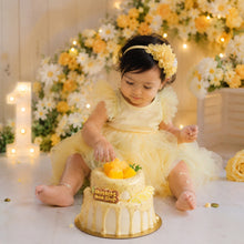 Load image into Gallery viewer, Babymoon Artificial Simulation Large Double-Tier Lemon Cake Model for Baby Photoshoot Props | Decorative Add-ons