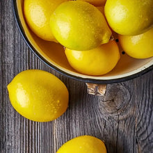 Load image into Gallery viewer, Babymoon Plastic Artificial Lemon's | Decorative Add-ons | Photography Props | Set of 20