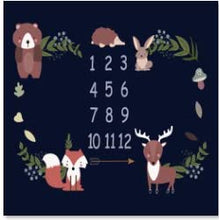 Load image into Gallery viewer, Babymoon Designer Growth Baby Photography Props- Photo Blanket - Photoshoot Bedsheet - Best Baby Shower Gift (40 x 40 Inch)