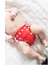Load image into Gallery viewer, Babymoon Washable & Reusable Cloth Diaper Pocket With Bamboo Charcoal Insert - Pack of 4