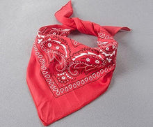 Load image into Gallery viewer, Babymoon | Set of 3 | Cowboy Costume, Hat, Scarf | Baby Photography Props | 6-12 Months
